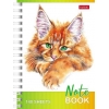 Записная книжка на спирали A6 140 л.Хатбер Котики бывают разными